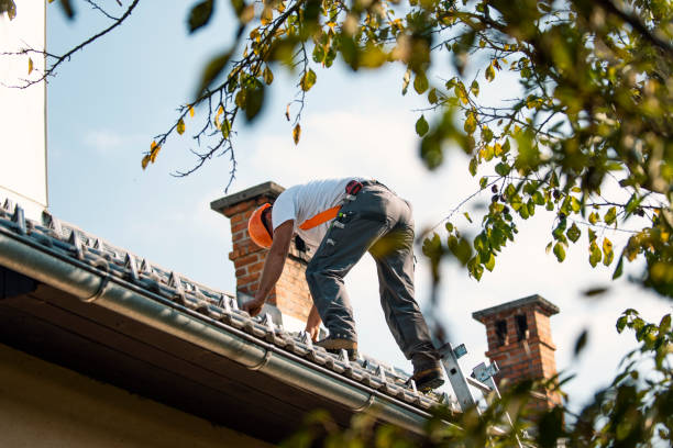 Best Roof Waterproofing Services  in Dellwood, MO
